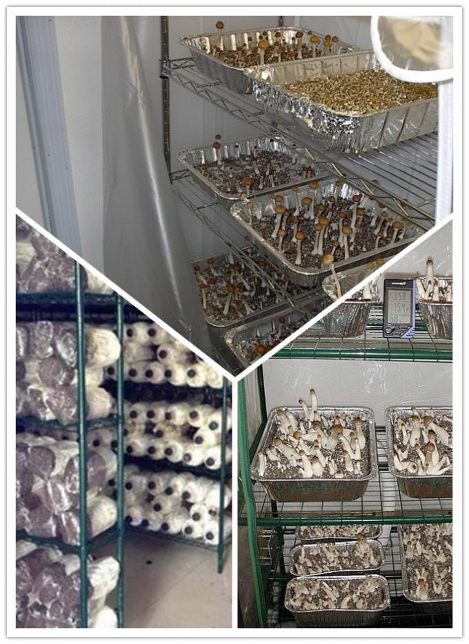Wire Rack For Plants Durable 6 Tier Wire Storage Racks Movable In A Plant Growing Environment